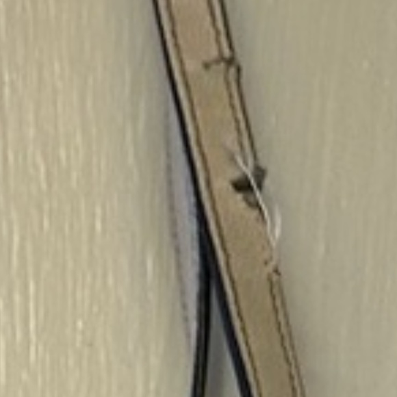 Limited Edition Coach City Tote Daisy Bundle print - Picture 9 of 9